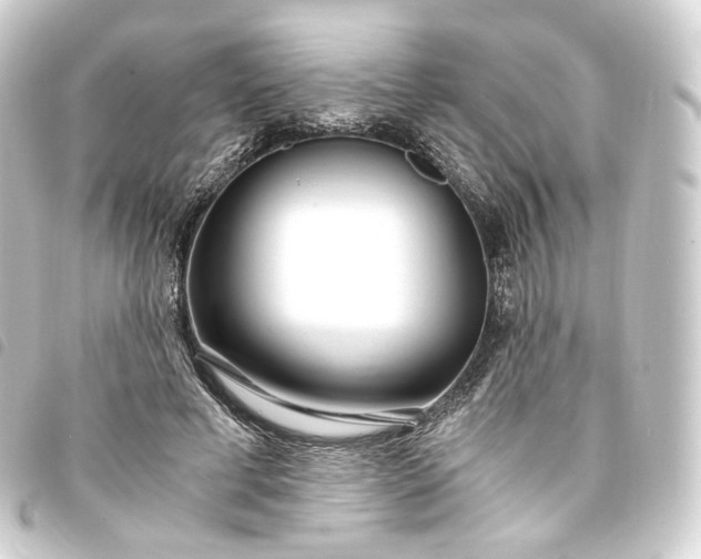X0000093750593200710301126