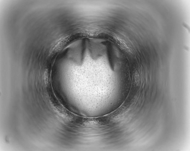 X0000093750594200710301126