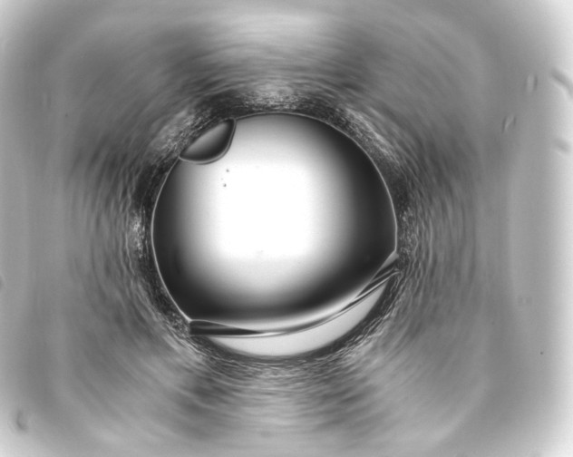 X0000093750597200710301126