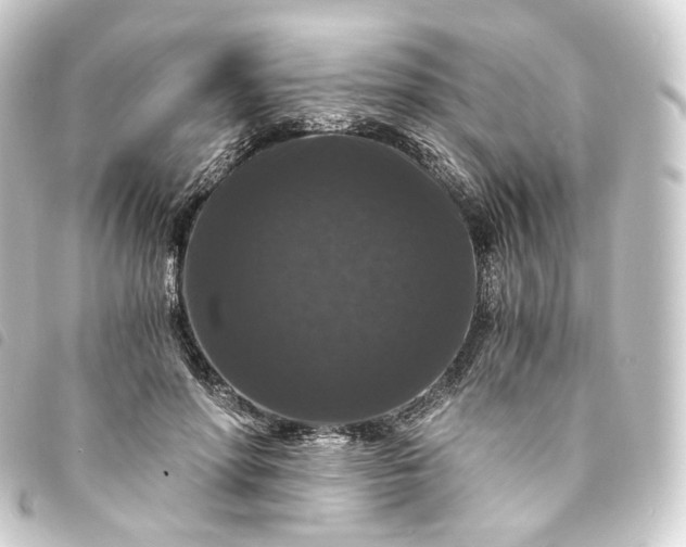 X0000093750598200710301126
