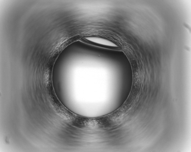 X0000093750600200710301126