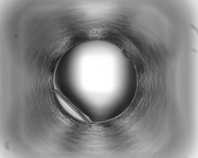 X0000093750601200710301126