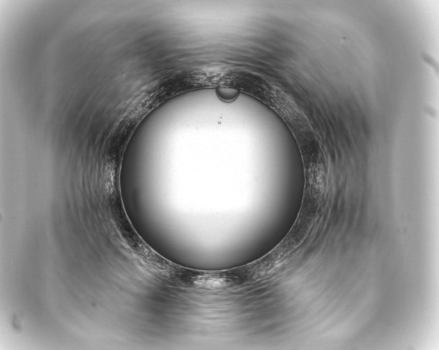 X0000093750602200710301126