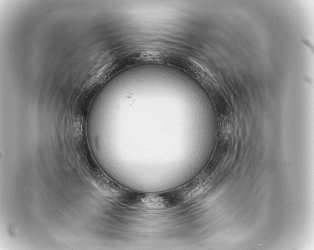 X0000093750603200710301126