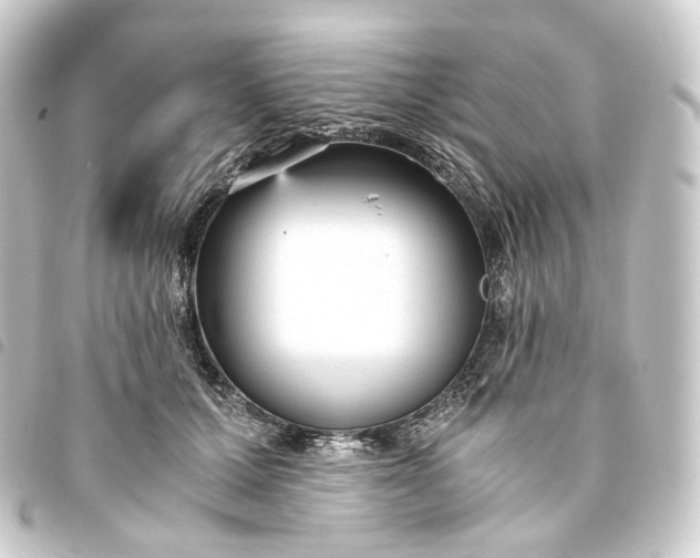 X0000093750607200710301126