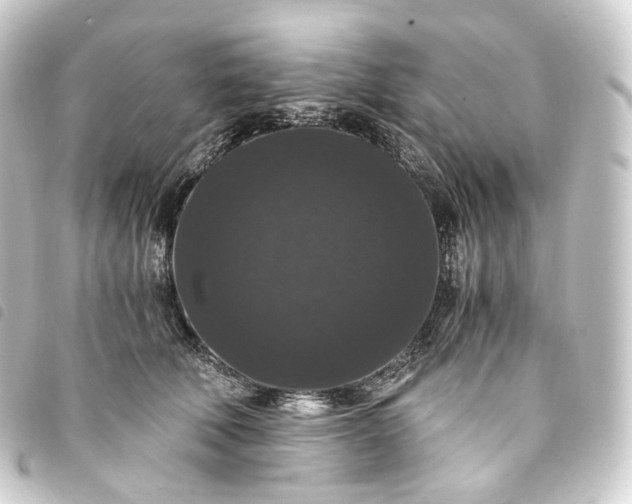 X0000093750610200710301126