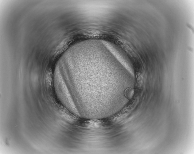 X0000093750612200710301126