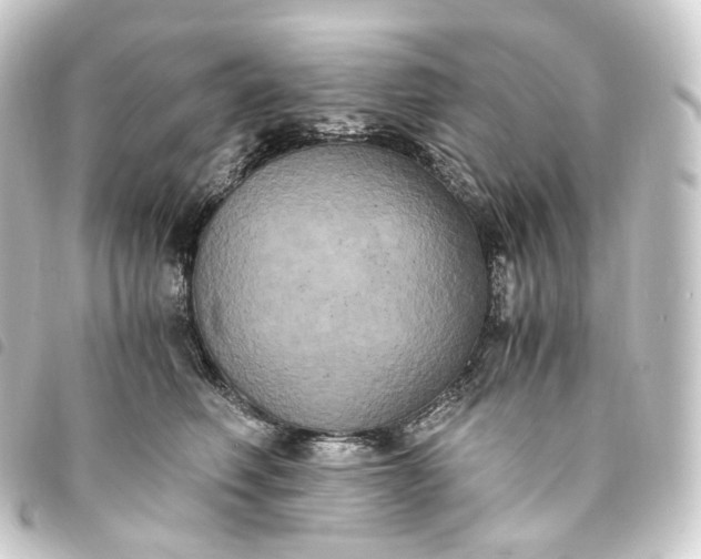 X0000093750614200710301126