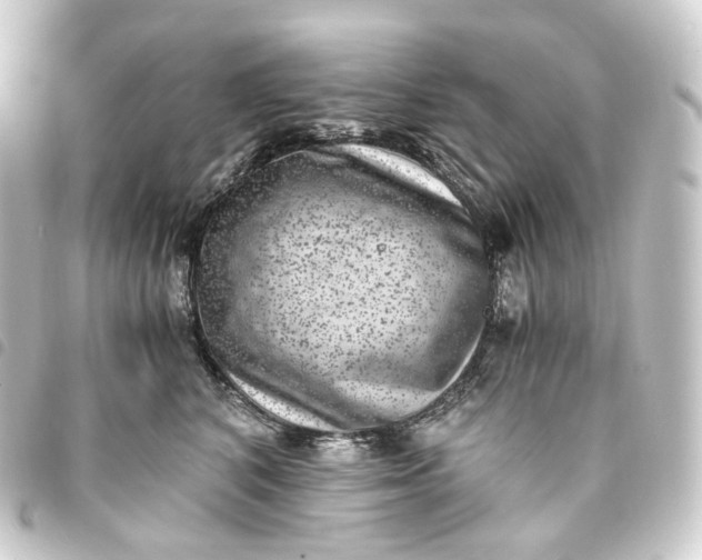 X0000093750616200710301126