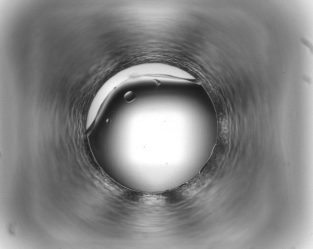 X0000093750617200710301126