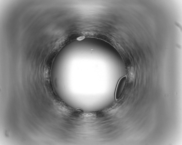 X0000093750619200710301126