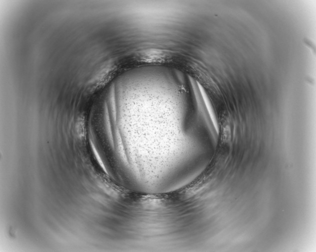 X0000093750620200710301126