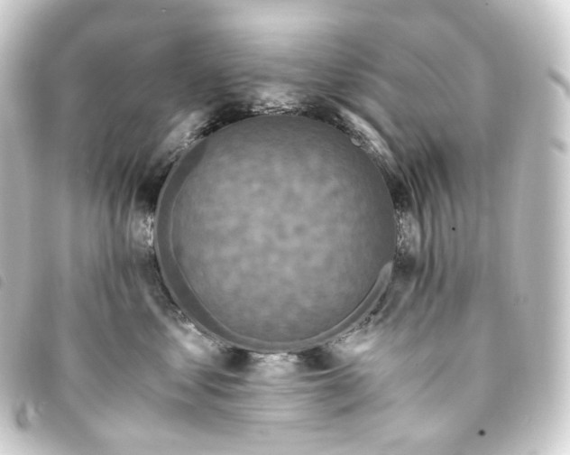 X0000093750621200710301126