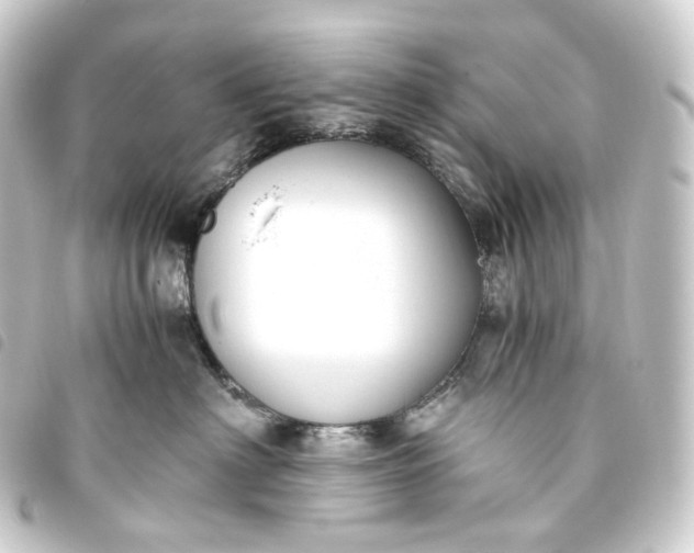 X0000093750622200710301126