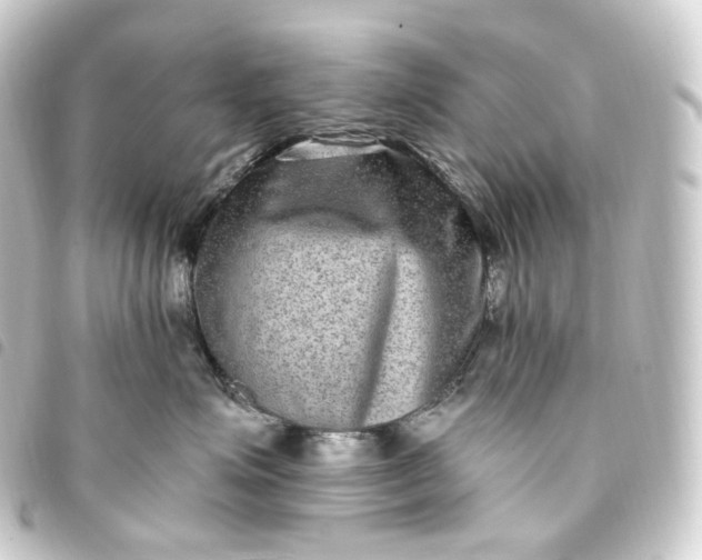 X0000093750623200710301126