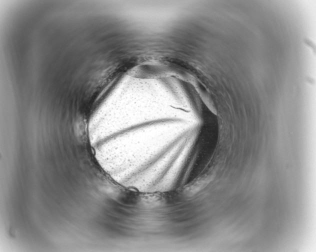 X0000093750624200710301126