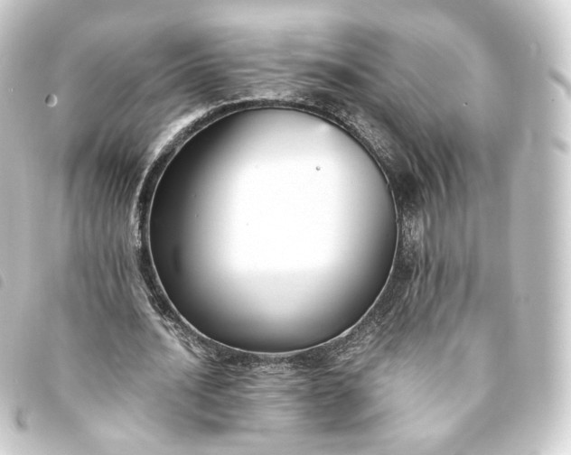 X0000093750628200710301125