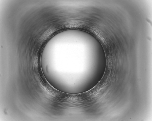 X0000093750631200710301125