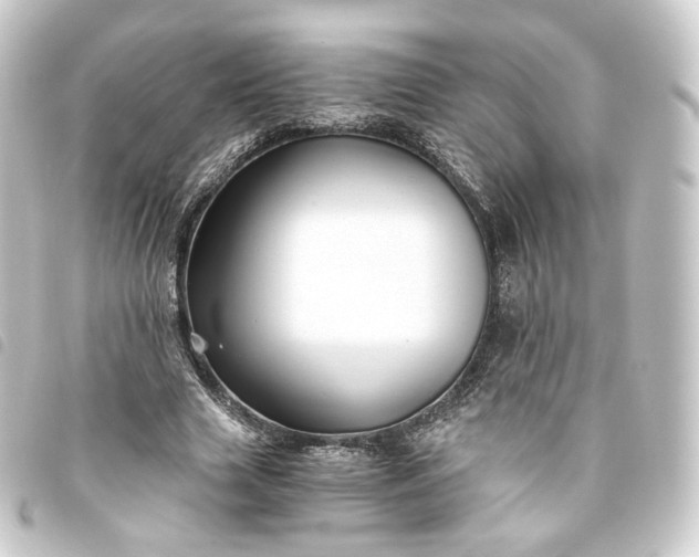 X0000093750633200710301125