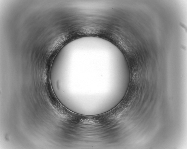 X0000093750635200710301125
