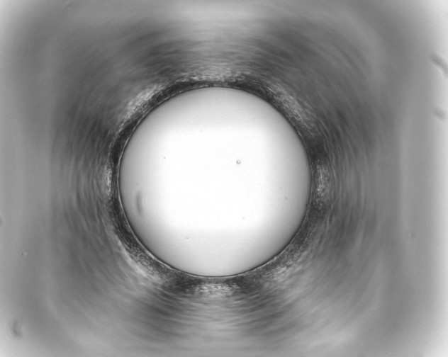 X0000093750636200710301125