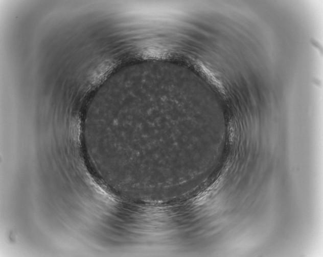 X0000093750637200710301125