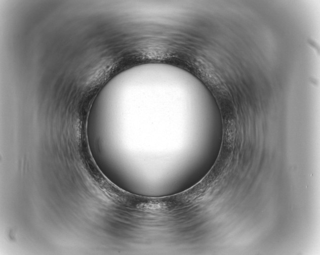 X0000093750639200710301125