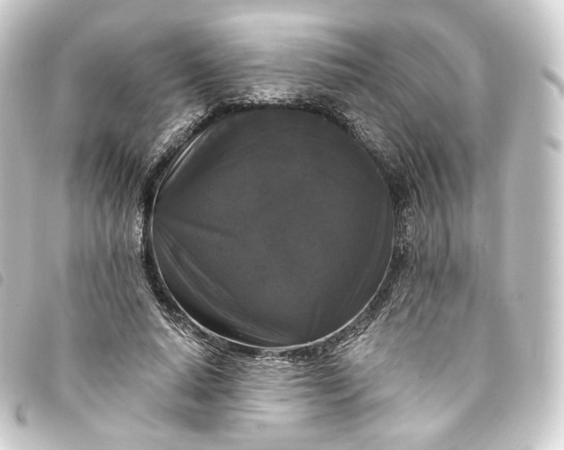 X0000093750640200710301125