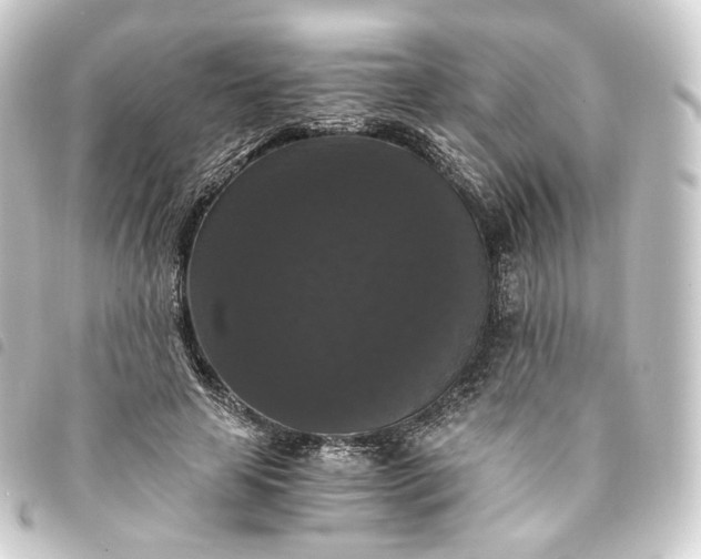 X0000093750641200710301125