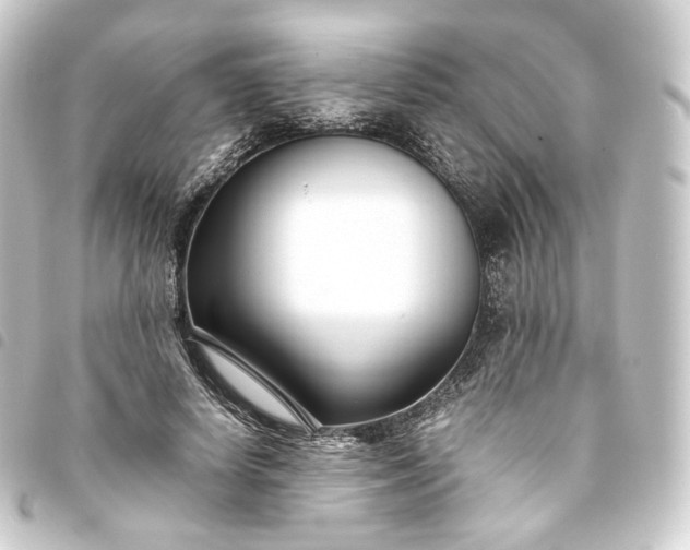X0000093750642200710301125