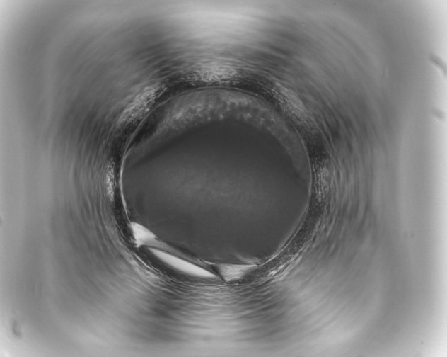 X0000093750644200710301125