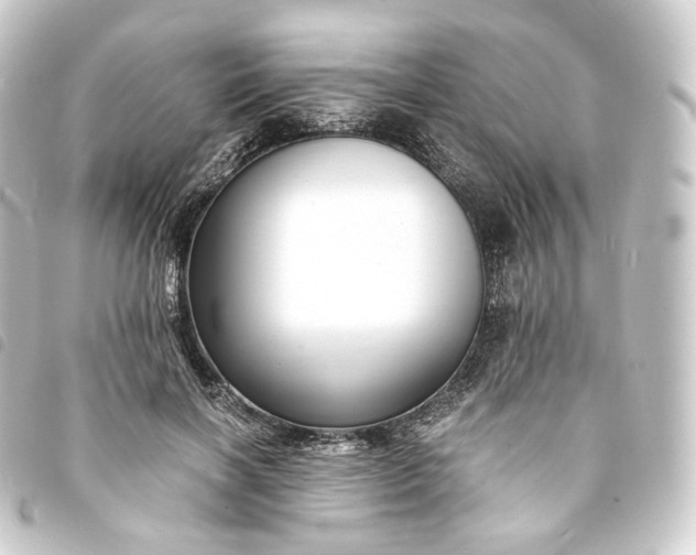 X0000093750646200710301125