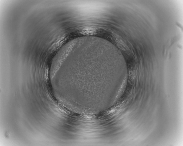 X0000093750652200710301125