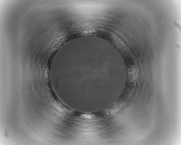 X0000093750654200710301125