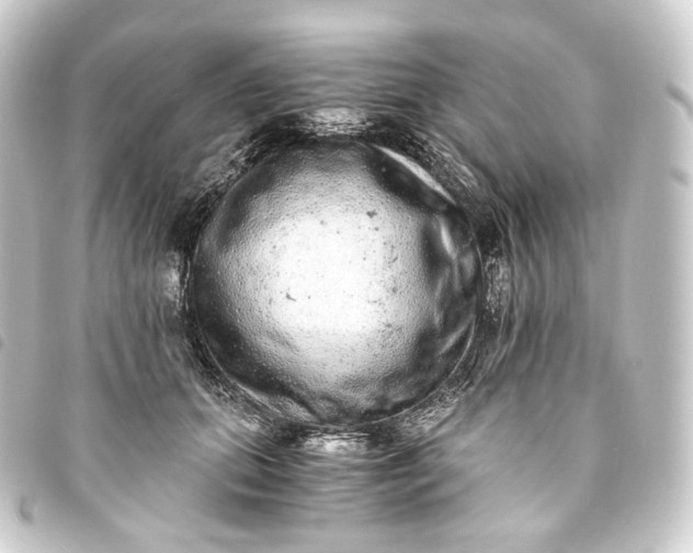 X0000093750655200710301125