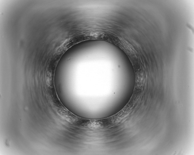 X0000093750656200710301125