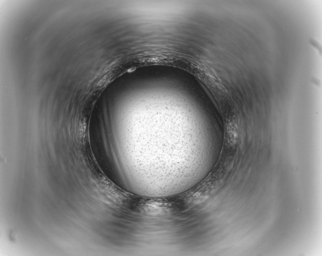 X0000093750657200710301125