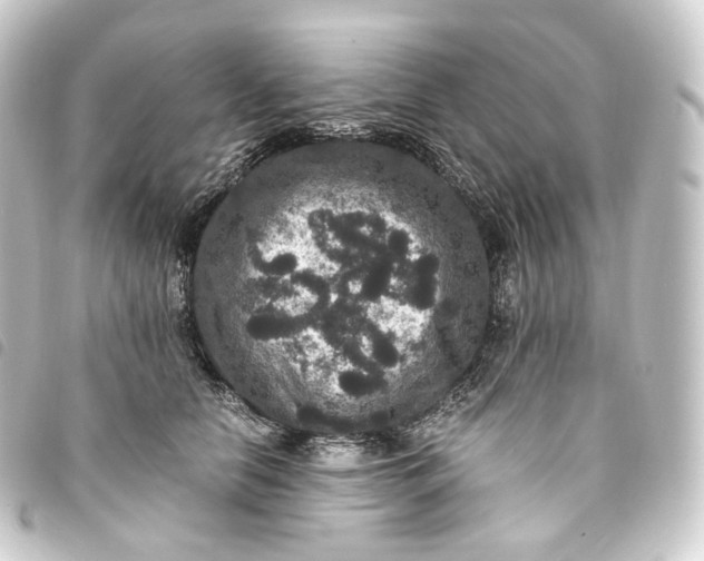 X0000093750658200710301125