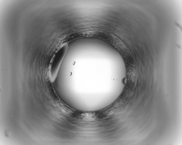 X0000093750660200710301125