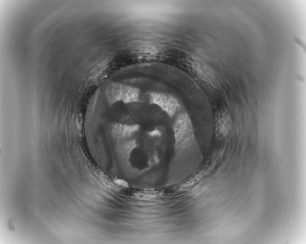 X0000093750661200710301125