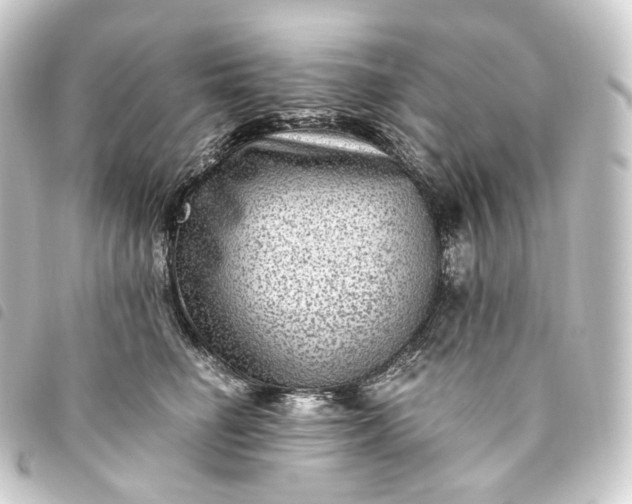 X0000093750662200710301125