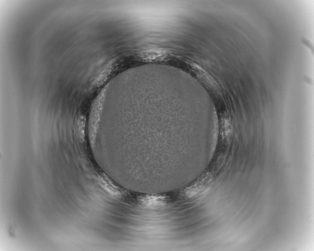 X0000093750664200710301126