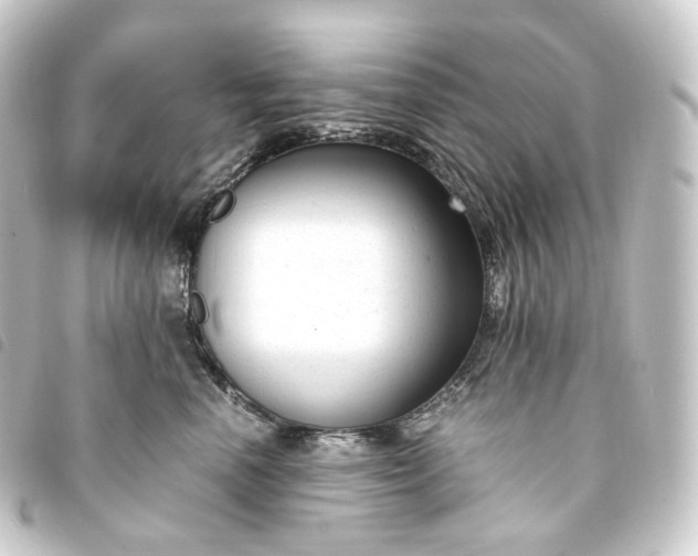 X0000093750666200710301126