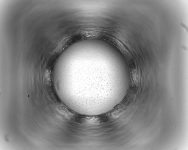 X0000093750667200710301126