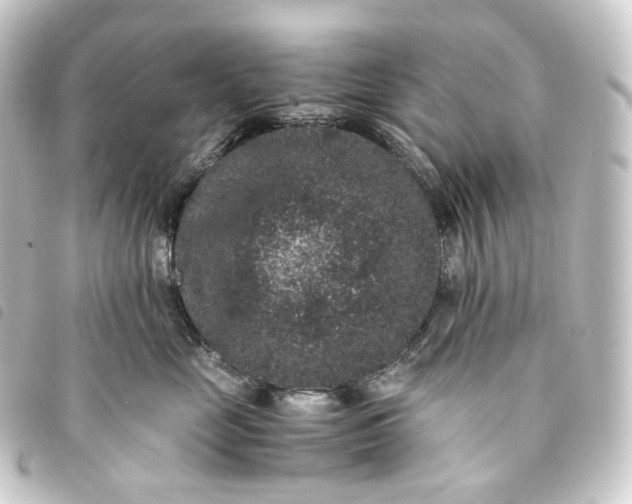 X0000093750669200710301126