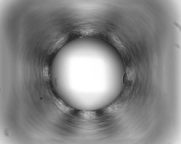 X0000093750670200710301126