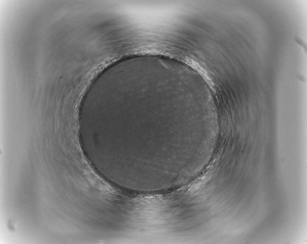X0000093750673200710301125
