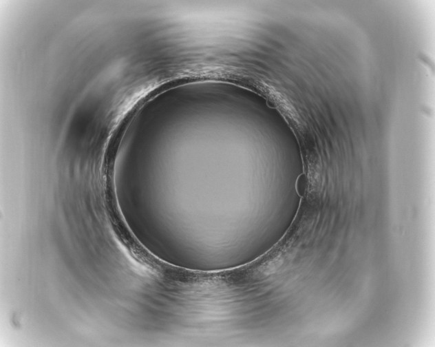 X0000093750674200710301125