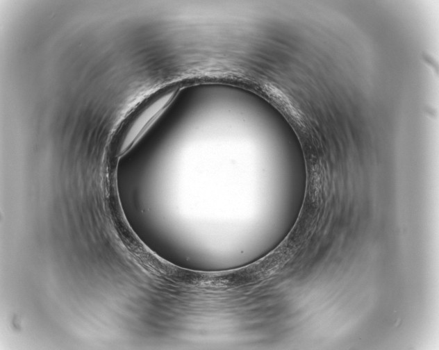 X0000093750680200710301125