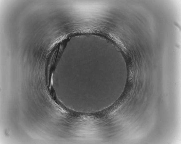 X0000093750681200710301125